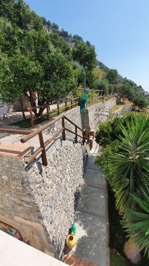 Villa Sunrise. Pool And Seaview In Amalfi Coast Conca dei Marini Exterior photo